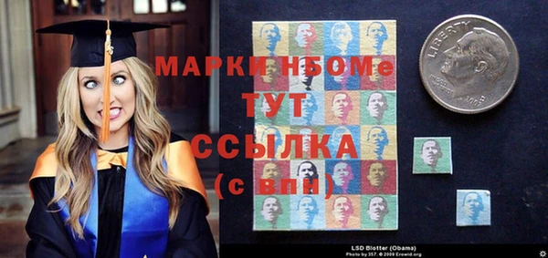 МДПВ Карпинск